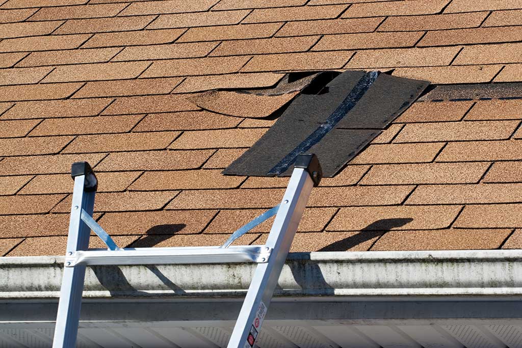 Residential Roof Repair | Lakewood, CO